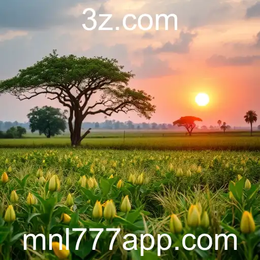 Desafios e Inovações no Uso de Criptomoedas no Brasil